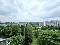 Blk 307 Clementi Meadows (Clementi), HDB 3 Rooms #632469491